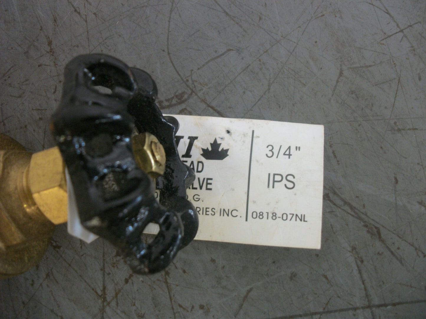 BOSHART BII 3/4" BRONZE NO LEAD GATE VALVE 200WOG 0818-07NL NOB