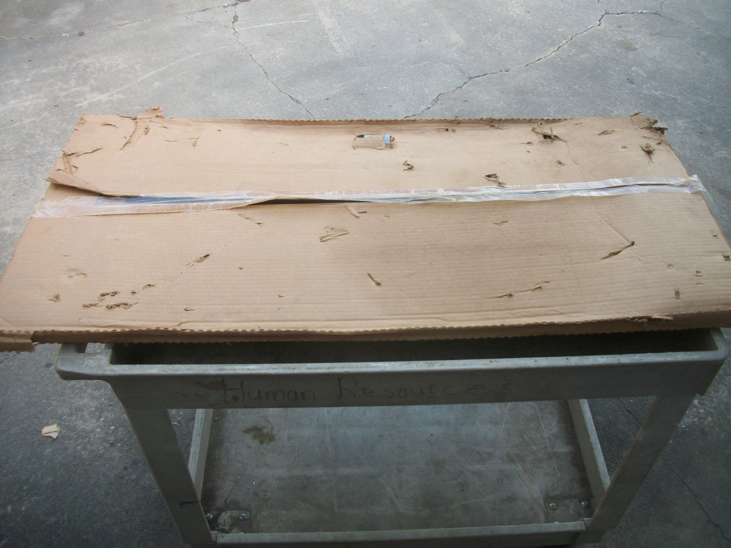 SIEMENS 44" SURFACE TRIM FOR B44 OR B44K BOXES S44B NIB