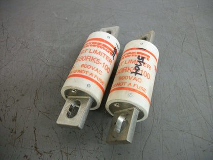 FERRAZ-SHAWMUT LOT OF 2 TEST LIMITER FUSES TLS30RK5-100 30AMP 600VOLT