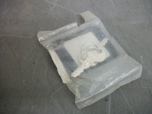 CAT SET OF 2 KEYS GS0000050 NEW