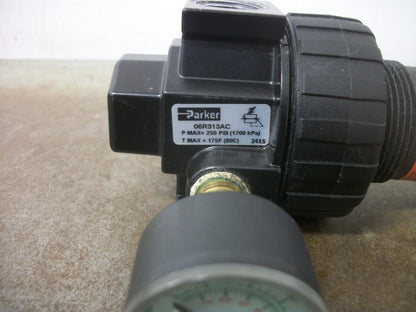 PARKER PNEUMATIC REGULATOR 06R313AC 250PSI